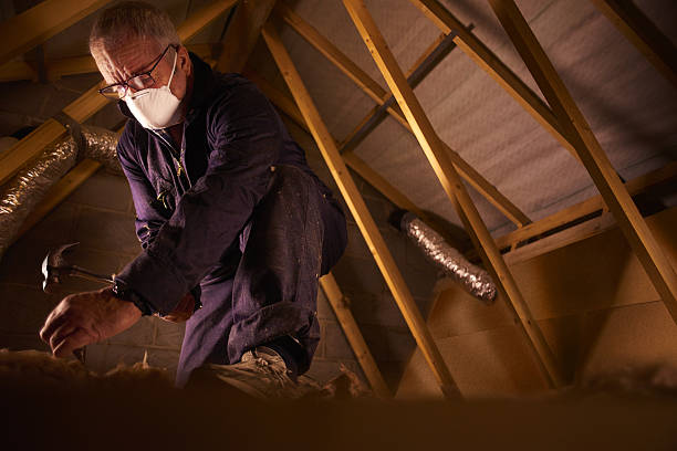 Best Insulation Maintenance and Repair in Incline Village, NV